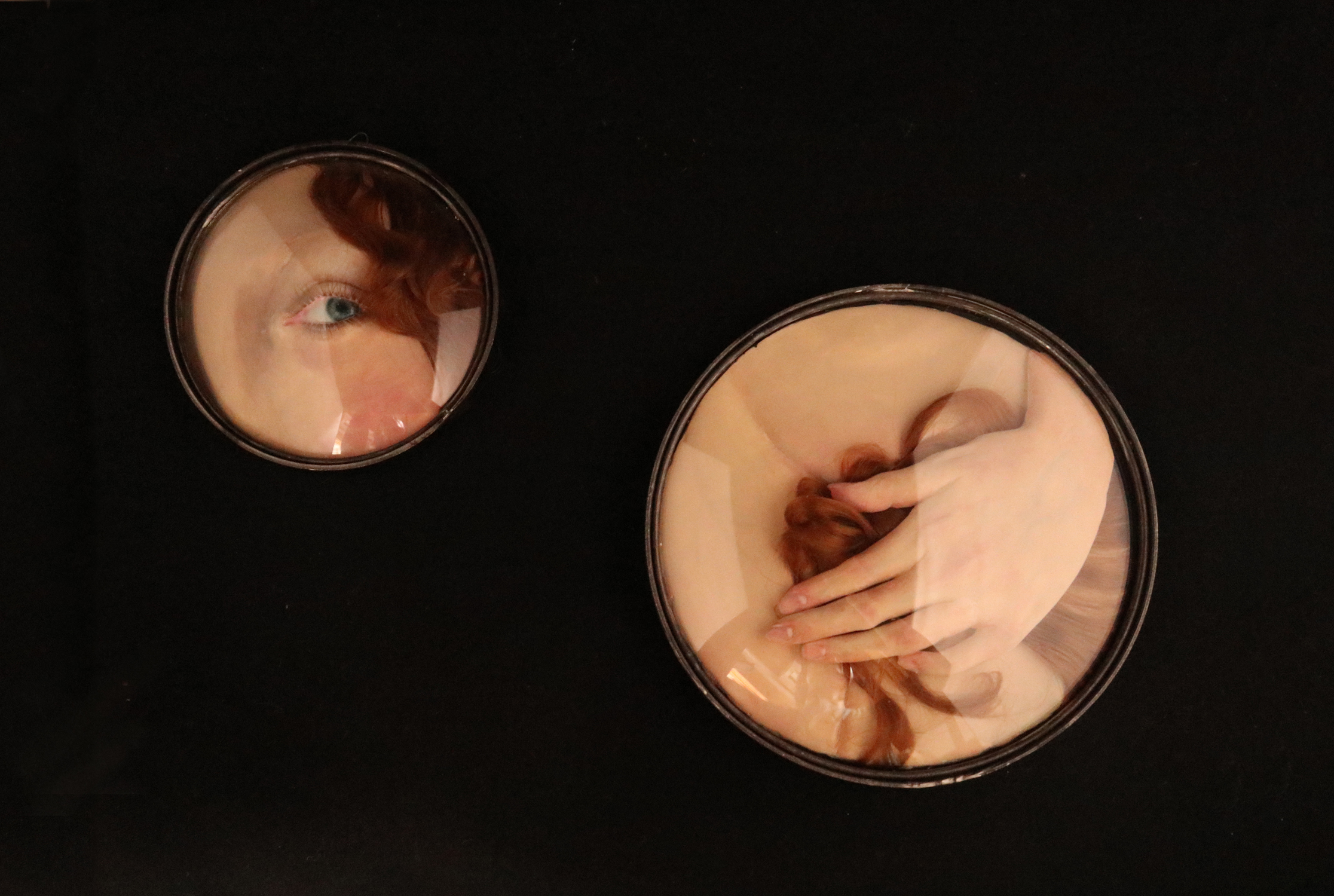 ヴェニュスの気配 2024